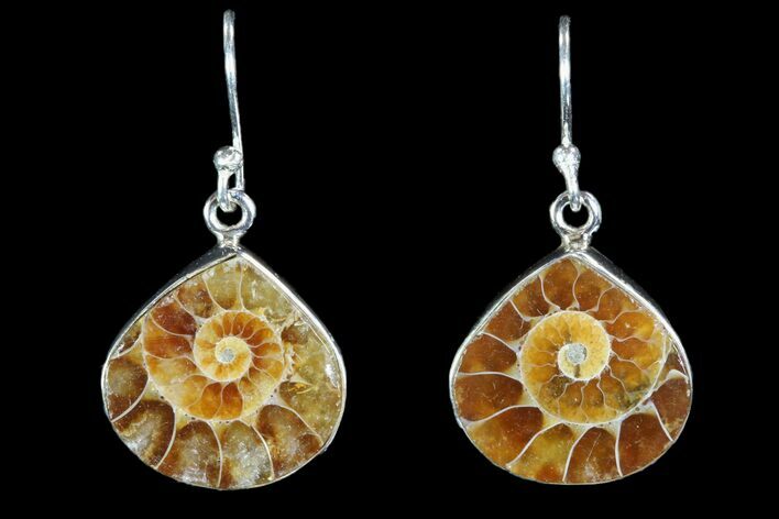 Fossil Ammonite Earrings - Sterling Silver #81632
